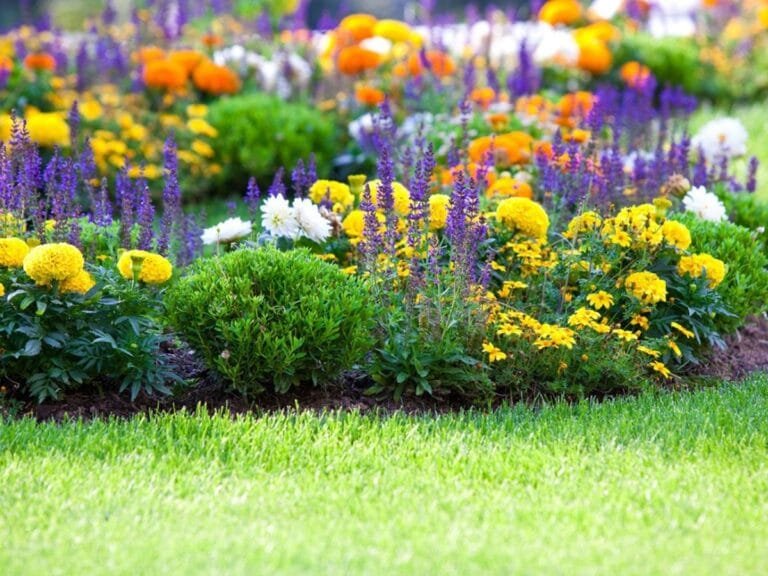 Flower Garden - Summerhill Bungalow