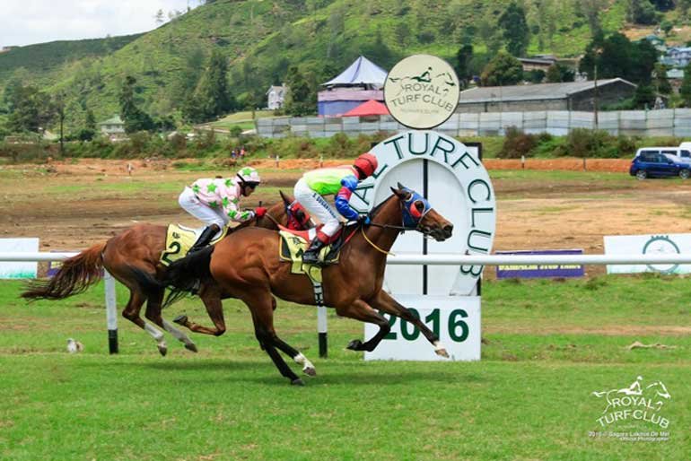 Race Course - Nuwara Eliya