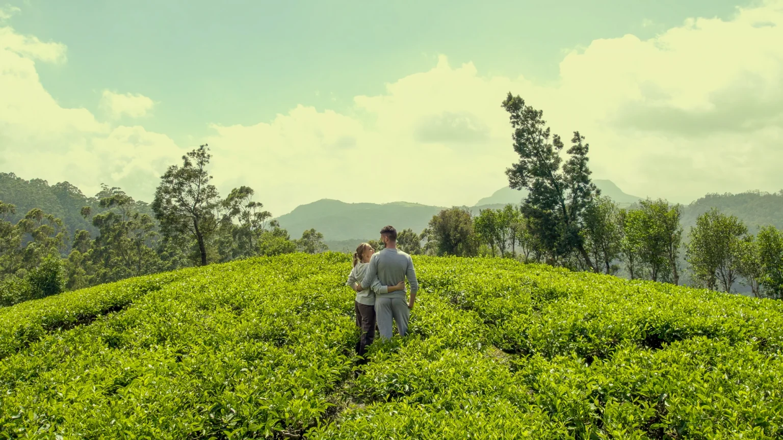 Enchanting Beauty of Summerhill Bungalow Nuwara Eliya