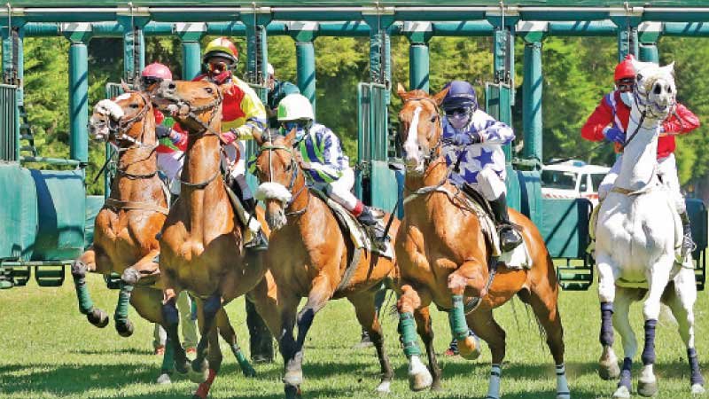 Race Course Nuwara Eliya