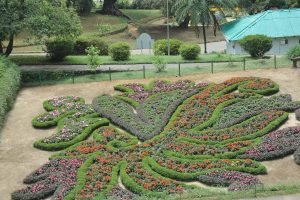 Botanic Gardens - Nuwara Eliya